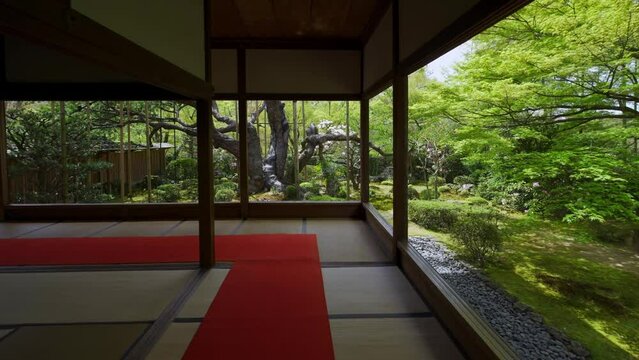 京都　宝泉院の新緑