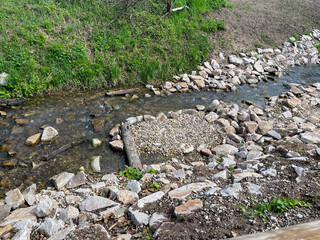 Krebsbach zwischen Haueneberstein und Schloss Favorite Förch