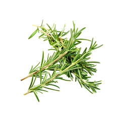 Fototapeta premium Add A Festive Touch To Your Holiday Treats, Isolated Transparent Background Images