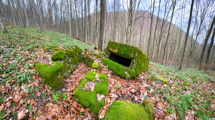 2 World War Arpad Line in the Carpathians -Hungary, now Ukraine. In the beech forest of...