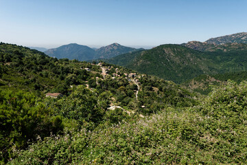 Frankreich - Korsika - Zérubia