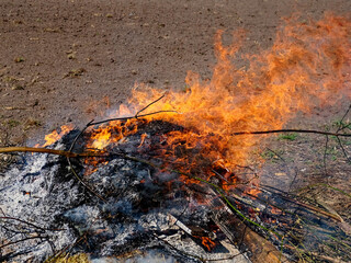 The aftermath of a bonfire with lingering flames.