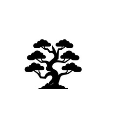 Bonsai tree silhouette
