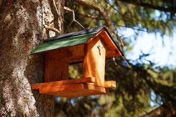 Birdhouse on a pine  tree