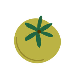 Branch of juicy ripe tomatoes, ripe bunch of tomato, vegetarian organic food, fresh whole tomato vegetables, healthy nutrition food, natural source of vitamins isolated flat vector illustration.