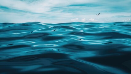 Obraz premium Blue green surface of the ocean with gentle ripples on the surface and light refracting