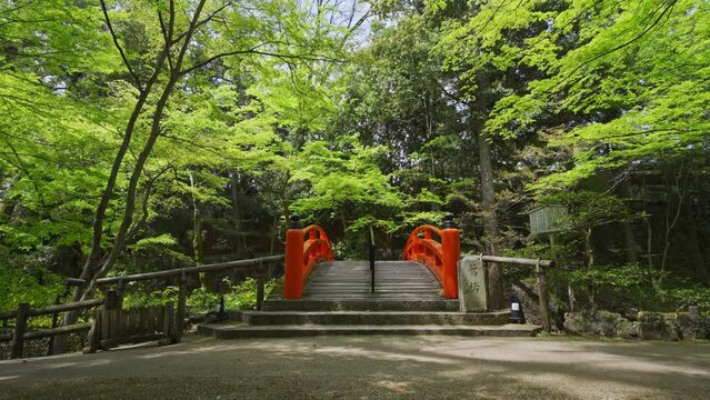 京都　北野天満宮　もみじ苑の鶯橋　新緑