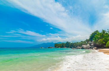 White sand and palms by the sea in a tropical beach