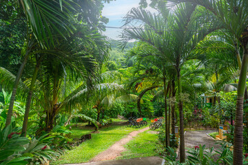 Obraz premium Bikes parked in a tropical garden