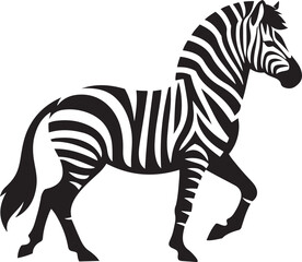 Walking Zebra vector illustration.