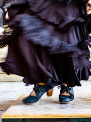 A flamenco dancer captured in action as she dances in Seville