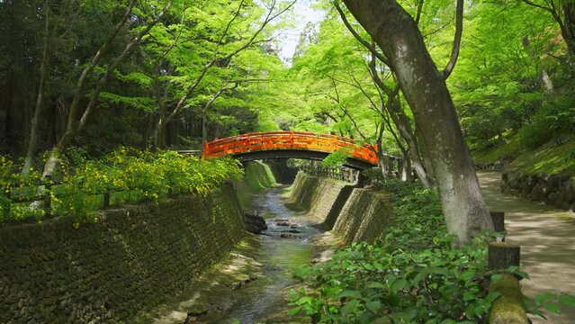 京都　北野天満宮　もみじ苑の鶯橋　新緑