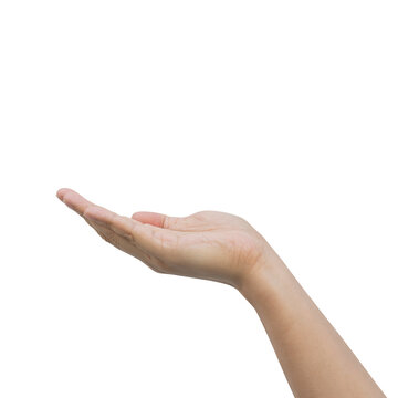 close up adult man hand gesturing as show or offer sign isolated on transparent background for png concept