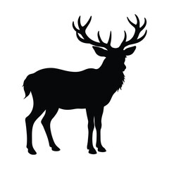 silhouette of a deer stag 