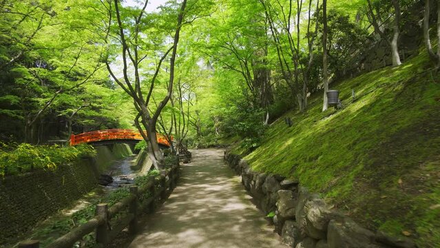 京都　北野天満宮　もみじ苑の鶯橋　新緑