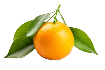 A small orange sits on a leaf. The orange is ripe and ready to eat. The leaf is green and fresh