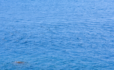Blue waters of Anilao beach in Batangas Philippines.