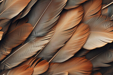 brown Feathers Background | Bright and Vibrant Design | Feather Texture, Nature Patterns, Avian Beauty, Ornamental, Decorative Backgrounds
