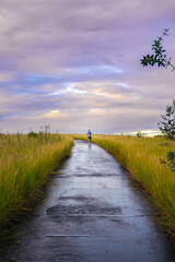 Fototapeta premium Rainy Walk.