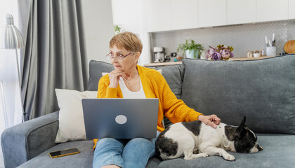 Elderly Caucasian woman sitting on sofa at home with pet French bulldog dog and using laptop