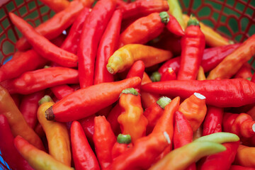 a pile of freshly picked red chili peppers