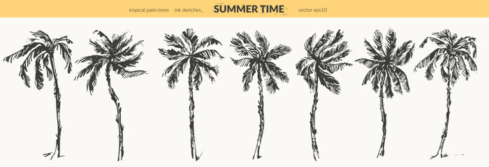 Hand drawn palm trees black ink sketch set. © katyabogina