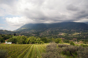 Vineyards in the Taburno-Camposauro mountain massif valley where the Solopaca vines variety are raised. Sant’Agata dei Goti, Benevento, Italy.