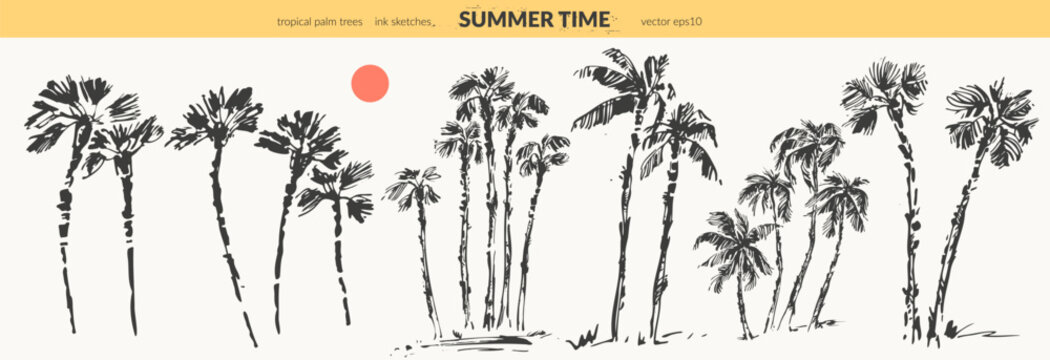 Hand drawn palm trees black ink sketch set.