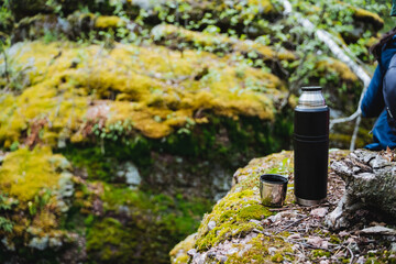 Thermos and cup placed on bedrock in woodland plant community