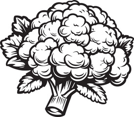 Broccoli simple thin line icon vector illustration