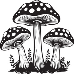 Mushroom coloring page black and white vector illustrations for kids