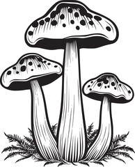 Mushroom coloring page black and white vector illustrations for kids