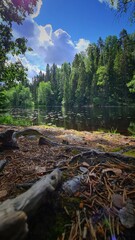 At the lake in summer day