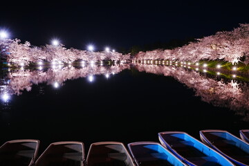Illuminated Pink Sakura or Cherry Blossom Tunnel and Wooden Boat on Moat of Hirosaki Castle at Night in Aomori, Japan - 日本 青森 弘前城 西濠 桜のトンネル ボート 夜景 ライトアップ	