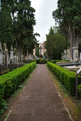 Cemetery aisle, gravestone, cemetery, burial, death, memory, mourning, sadness, grave. Vertical photo of a cloudy day.