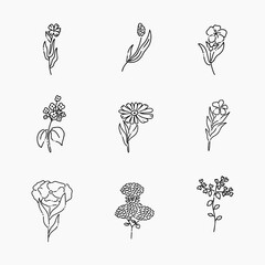 Flower doodle line vector illustration