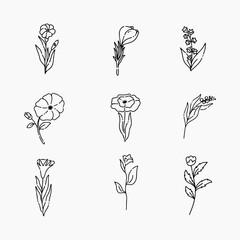 Flowers doodle line vector illustration