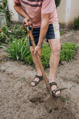 An elderly man, a retired gardener, digs soil with a shovel in his hands in the spring in the garden outdoors in nature. Agriculture concept. Close-up photo.