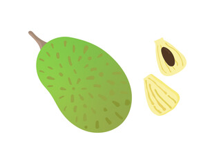 南国のフルーツ、ジャックフルーツ