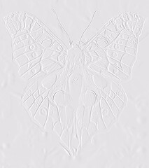embossed image of butterfly