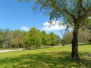 A beautiful and quiet place to enjoy nature and stunning green views