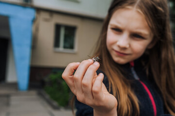 A small beautiful girl, a teenage child, looks with interest, curiosity at a caught cockchafer, a large insect, a beetle sitting on a hand, palm, outdoors in nature. Animal photography.