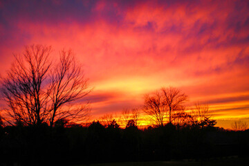 Striking orange and purple sunset over a residential area with barren trees