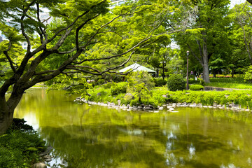都心散歩　新緑の日比谷公園