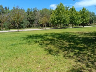 Fototapeta premium A beautiful and quiet place to enjoy nature and stunning green views