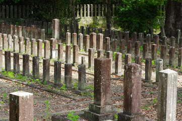西南戦争の官軍兵士のお墓（七本官軍墓地）