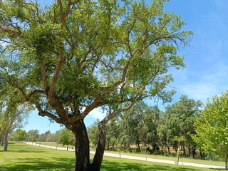 Obraz premium A beautiful and quiet place to enjoy nature and stunning green views