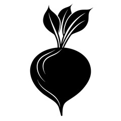 Beetroot vector illustration