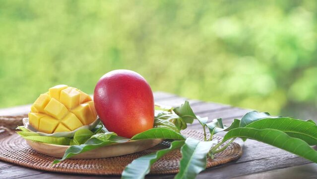 Red mango in Bamboo basket on wooden table in garden, Fresh Japanese Elegant mango fruits &ldquo;Egg of the Sun&rdquo; in basket on blurred greenery background.