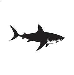 shark silhouette and aquatic silhouette on white background